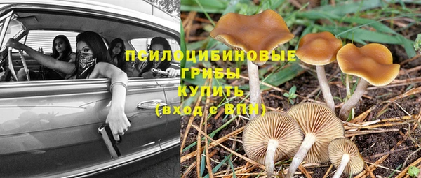 прущий лед Переславль-Залесский