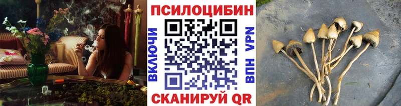 Псилоцибиновые грибы Psilocybine cubensis  цены наркотик  Барыш 